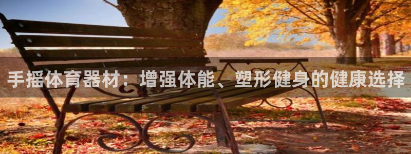 极悦平台用户评价在哪里看：手摇体育器材：增强体能、塑