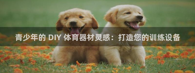 极悦平台登录入口注册：青少年的 DIY 体育器材灵感