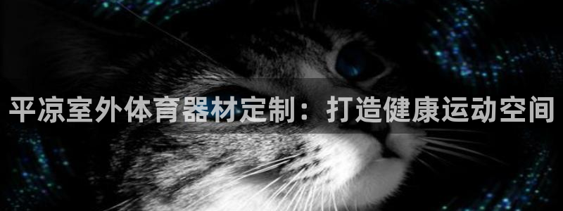 极悦平台是什么公司：平凉室外体育器材定制：打造健康运