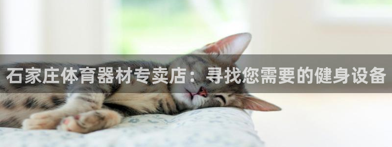 极悦平台官方网址是多少：石家庄体育器材专卖店：寻找您