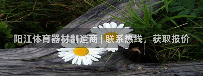 极悦娱乐挂机赚钱是真的吗：阳江体育器材制造商 | 联