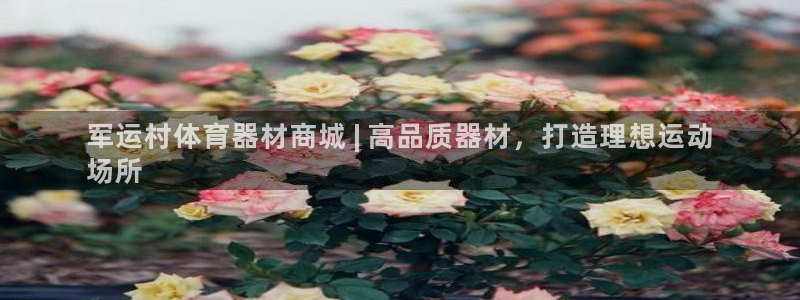 极悦平台注册失败如何解决呢：军运村体育器材商城 | 