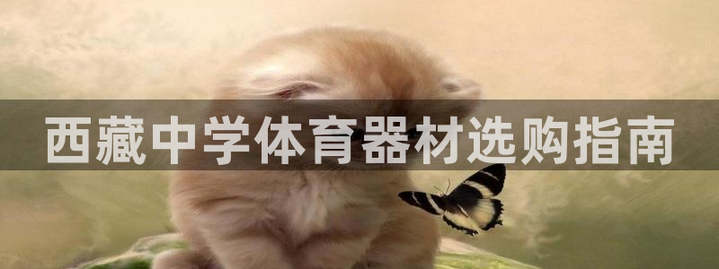 极悦平台使用注意事项：西藏中学体育器材选购指南