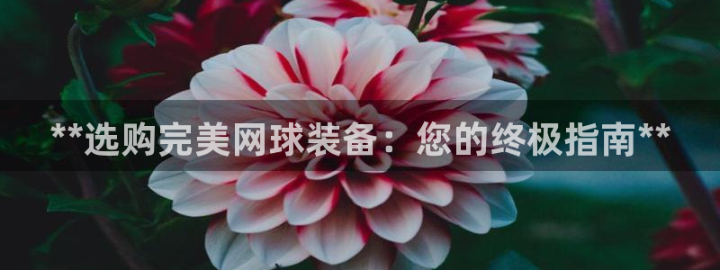 加盟极悦教育怎么样：**选购完美网球装备：您的终极指