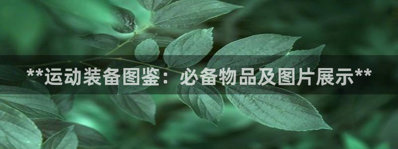 极悦生活家是什么平台：**运动装备图鉴：必备物品及图