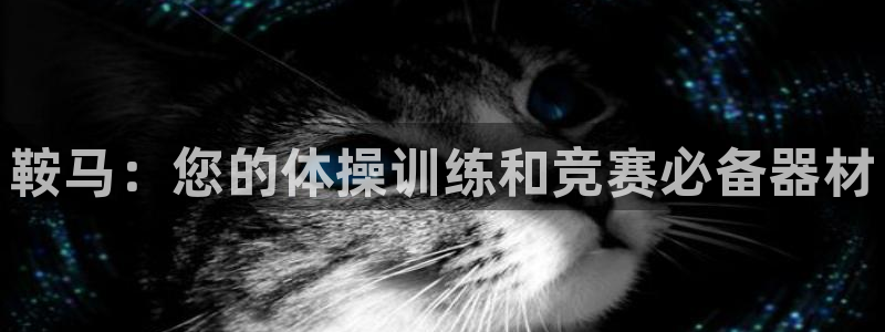 极悦平台德711.112的更新内容：鞍马：您的体操训