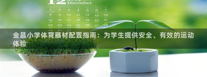 极悦官方网站app下载：金昌小学体育器材配置指南：为