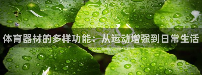 极悦娱乐最新版本更新内容介绍：体育器材的多样功能：从