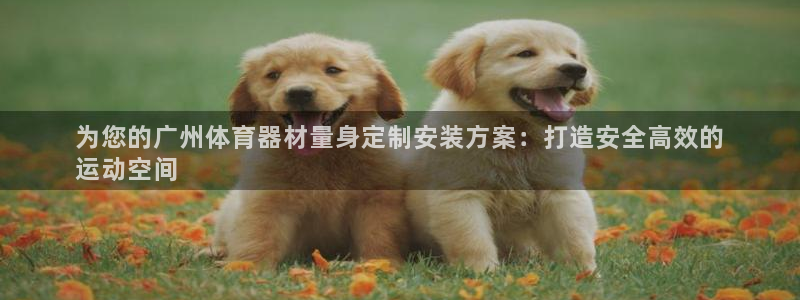 极悦平台客服的联系方式是什么：为您的广州体育器材量身