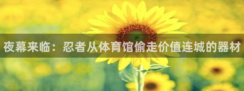 极悦娱乐成7O777：夜幕来临：忍者从体育馆偷走价值