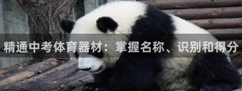 极悦平台注册登录不了：精通中考体育器材：掌握名称、识