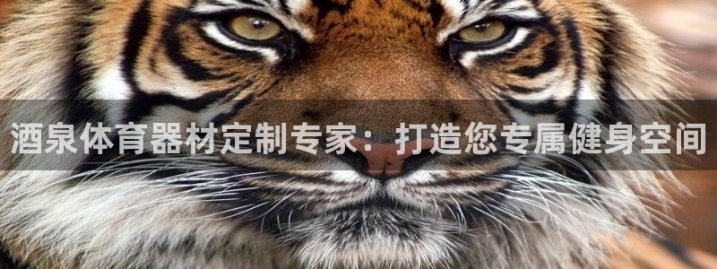 极悦娱乐官网入口网站：酒泉体育器材定制专家：打造您专