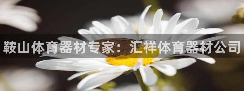极悦平台注册资金多少：鞍山体育器材专家：汇祥体育器材