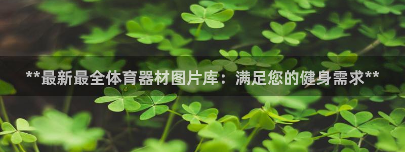 极悦平台是什么：**最新最全体育器材图片库：满足您的