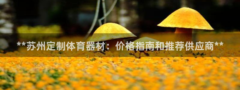 极悦平台官方网址是多少：**苏州定制体育器材：价格指