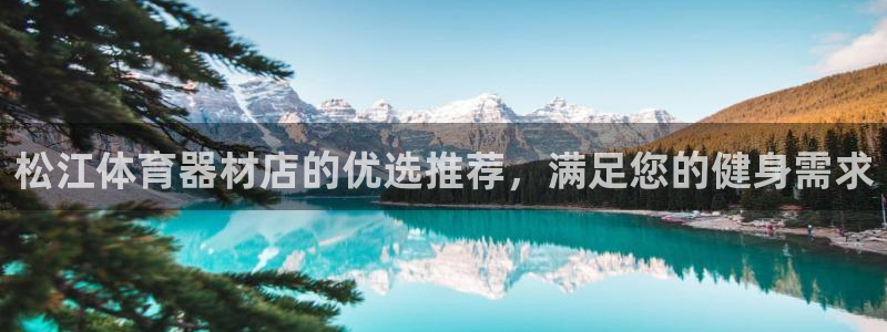 极悦平台和蓝狮平台区别是什么：松江体育器材店的优选推