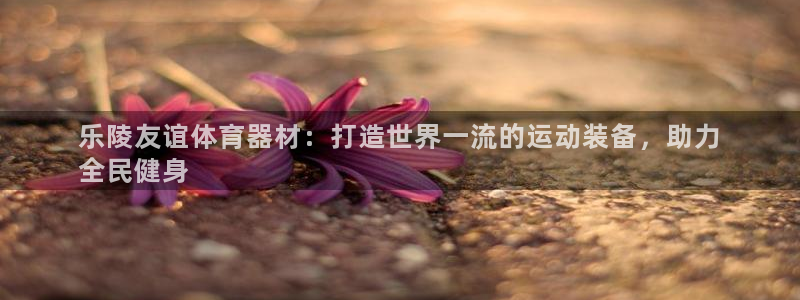 极悦娱乐代理怎么样：乐陵友谊体育器材：打造世界一流的