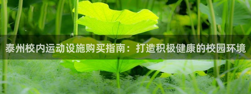 极悦平台用户反馈和反馈：泰州校内运动设施购买指南：打