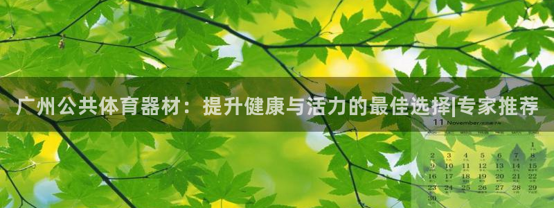 极悦平台创始人背景故事是什么：广州公共体育器材：提升