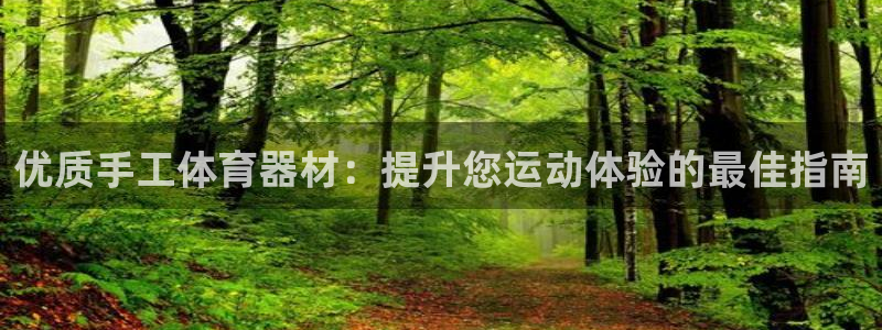 极悦平台官网登录网址查询：优质手工体育器材：提升您运