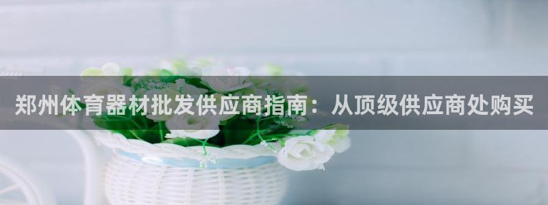 极悦娱乐的最新版本更新内容：郑州体育器材批发供应商指