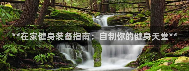 极悦娱乐百科百度：**在家健身装备指南：自制你的健身
