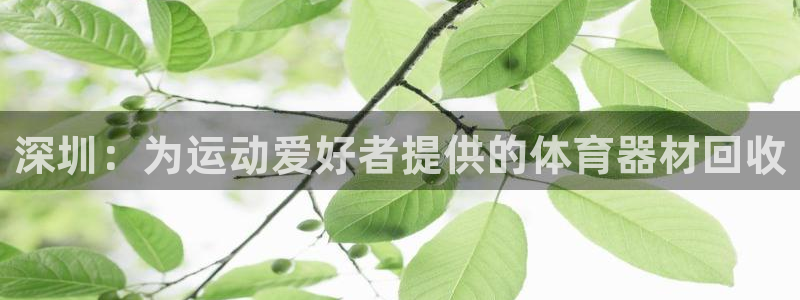 极悦平台使用注意事项：深圳：为运动爱好者提供的体育器