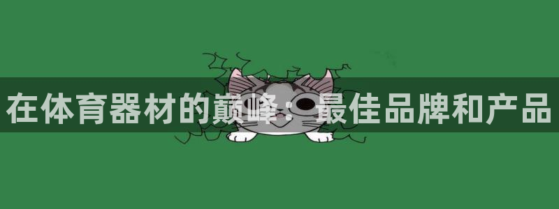 极悦官网首页登录入口：在体育器材的巅峰：最佳品牌和产