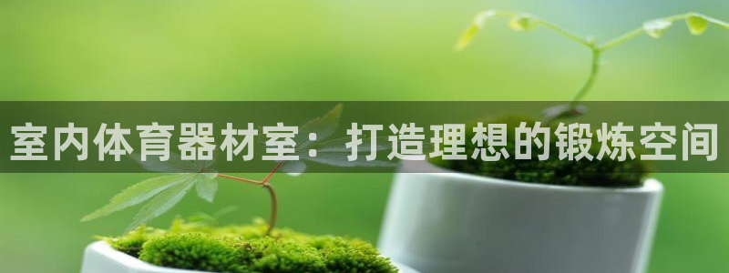 极悦平台登录方式怎么改：室内体育器材室：打造理想的锻