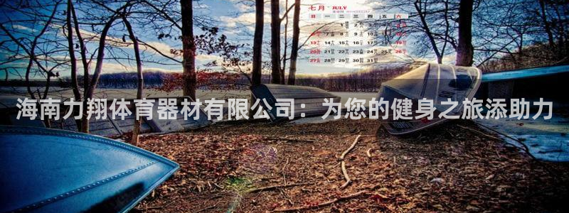 极悦平台登录不进去怎么回事儿：海南力翔体育器材有限公