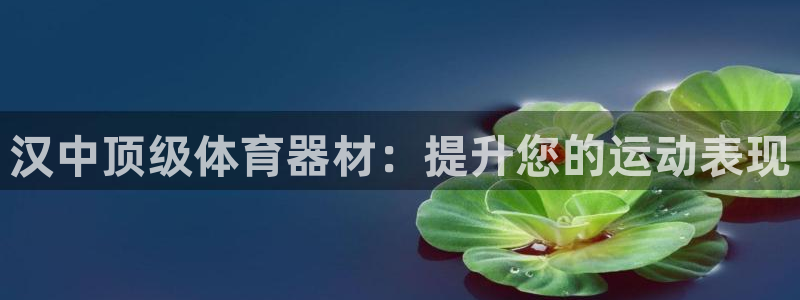 极悦平台网址皮皮虾下载：汉中顶级体育器材：提升您的运