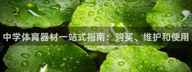 极悦平台注册流程详解视频：中学体育器材一站式指南：购