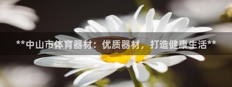 极悦平台官网登录入口网址：**中山市体育器材：优质器
