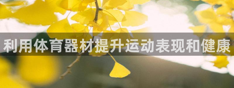 极悦娱乐负责人怎么样：利用体育器材提升运动表现和健康