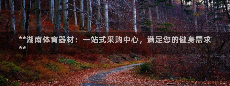 极悦官网注册最新版本更新内容是什么：**湖南体育器材
