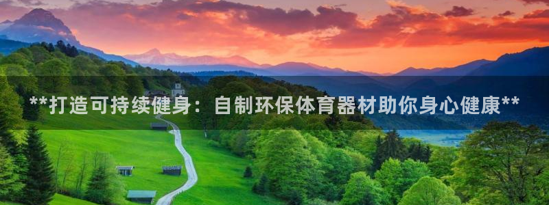 极悦生活家是什么平台的软件：**打造可持续健身：自制