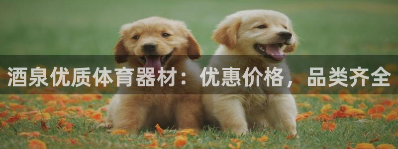 极悦平台注册官方网站下载安装手机版：酒泉优质体育器材