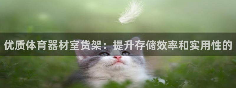 极悦平台注册官方网站下载安卓：优质体育器材室货架：提