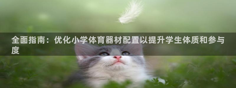 极悦平台注册失败如何解决方法：全面指南：优化小学体育