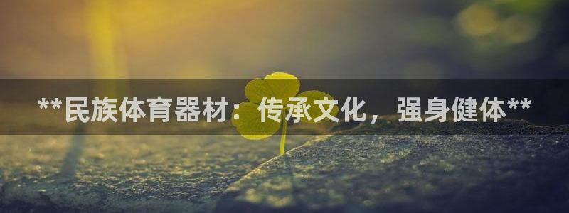 极悦平台注册和登录页面：**民族体育器材：传承文化，