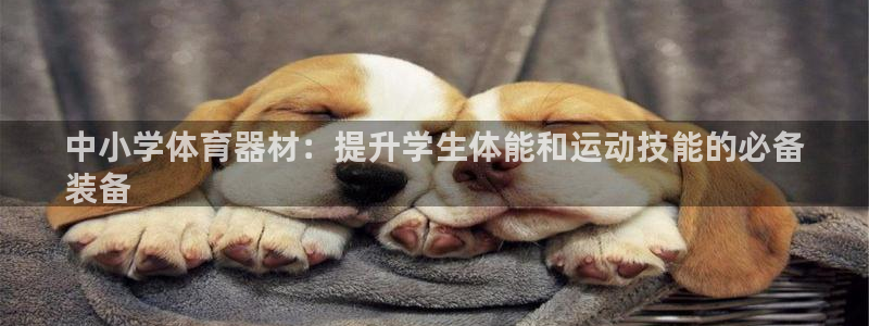 加盟极悦教育怎么样：中小学体育器材：提升学生体能和运