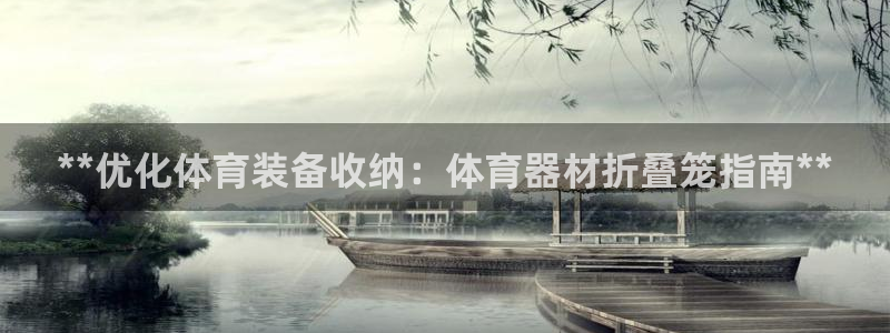 极悦平台官方网站入口下载：**优化体育装备收纳：体育
