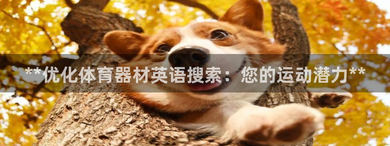 极悦平台代理：**优化体育器材英语搜索：您的运动潜力