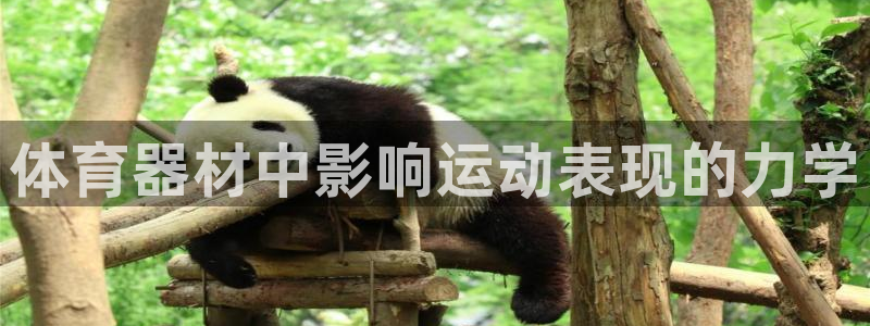 极悦娱乐挂机赚钱是真的吗知乎：体育器材中影响运动表现
