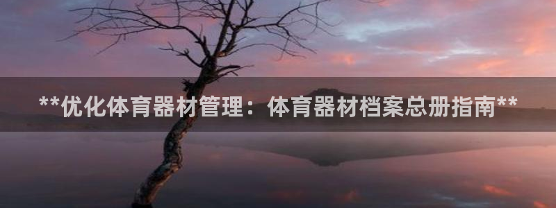 极悦平台代理怎么做赚钱：**优化体育器材管理：体育器