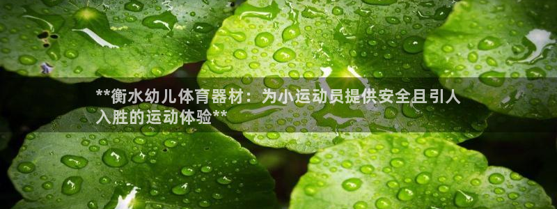 极悦平台平台登录入口：**衡水幼儿体育器材：为小运动
