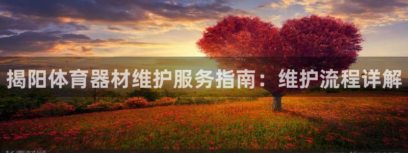 极悦娱乐官方网站入口：揭阳体育器材维护服务指南：维护