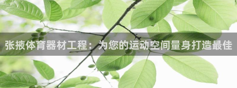 极悦平台股东：张掖体育器材工程：为您的运动空间量身打