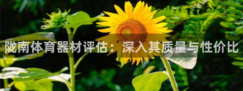 极悦平台是什么公司：陇南体育器材评估：深入其质量与性