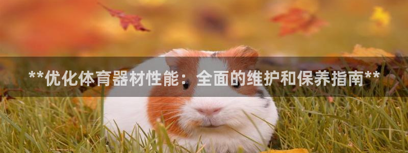 极悦平台客服团队名称：**优化体育器材性能：全面的维